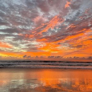 Meet your Posher, Kat